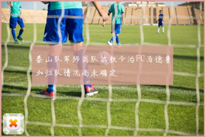 泰山队军师离队执教今治FC马德鲁加归队情况尚未确定